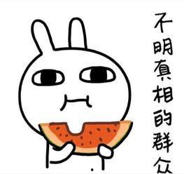 爆料吃瓜必吃大瓜图片搞笑,笑出腹肌的瞬间