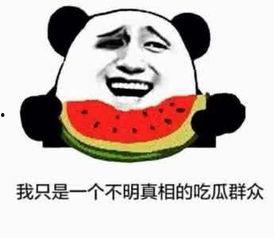 吃瓜反差官网,揭秘娱乐圈背后的真实故事