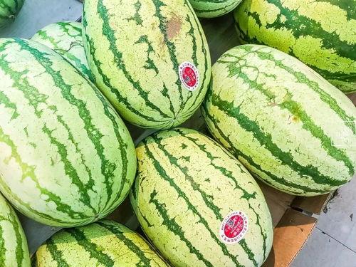 江阴网红吃瓜事件真相揭秘,揭秘背后真相与争议