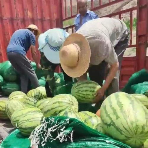 潍坊市两干部吃瓜网,潍坊两干部因吃瓜网事件引发热议